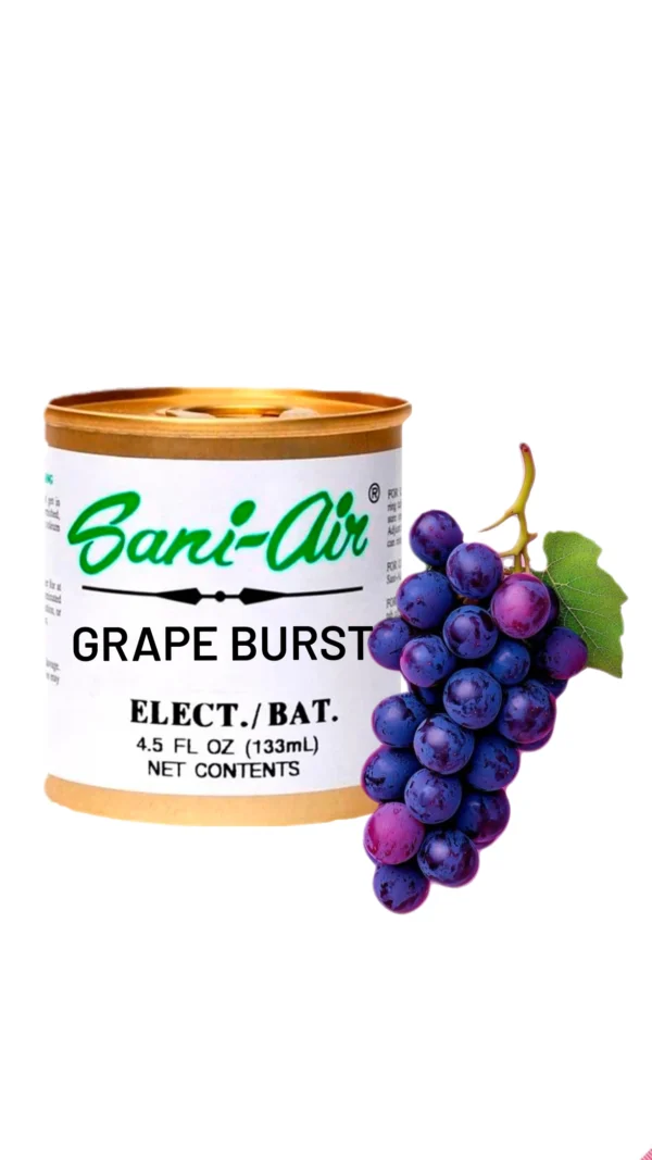 GRAPE BURST SANI-AIR 133ml