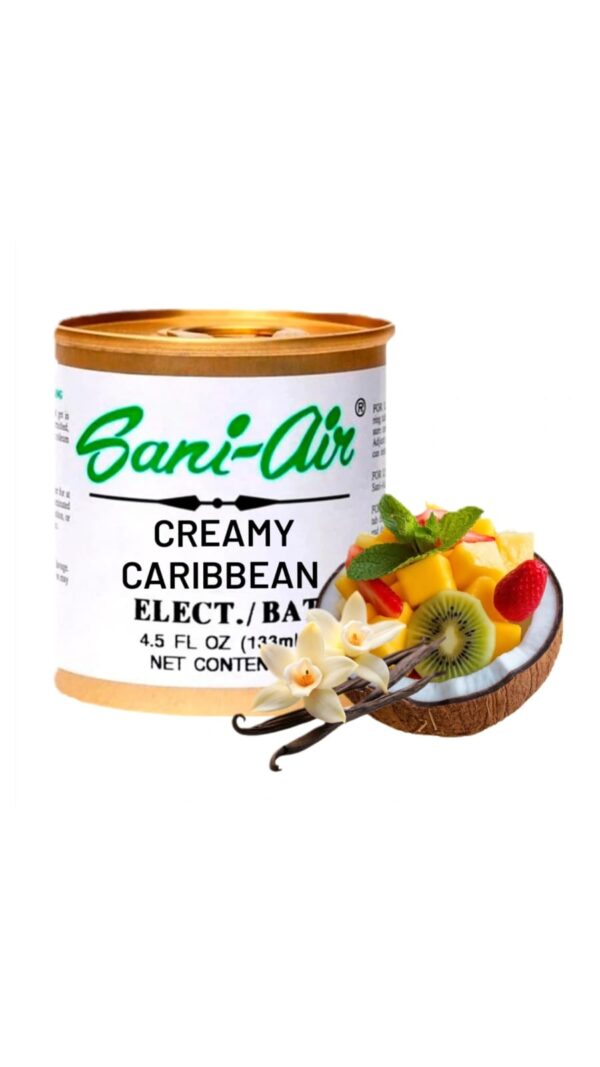 CREAMY CARIBBEAN SANI-AIR 133ml